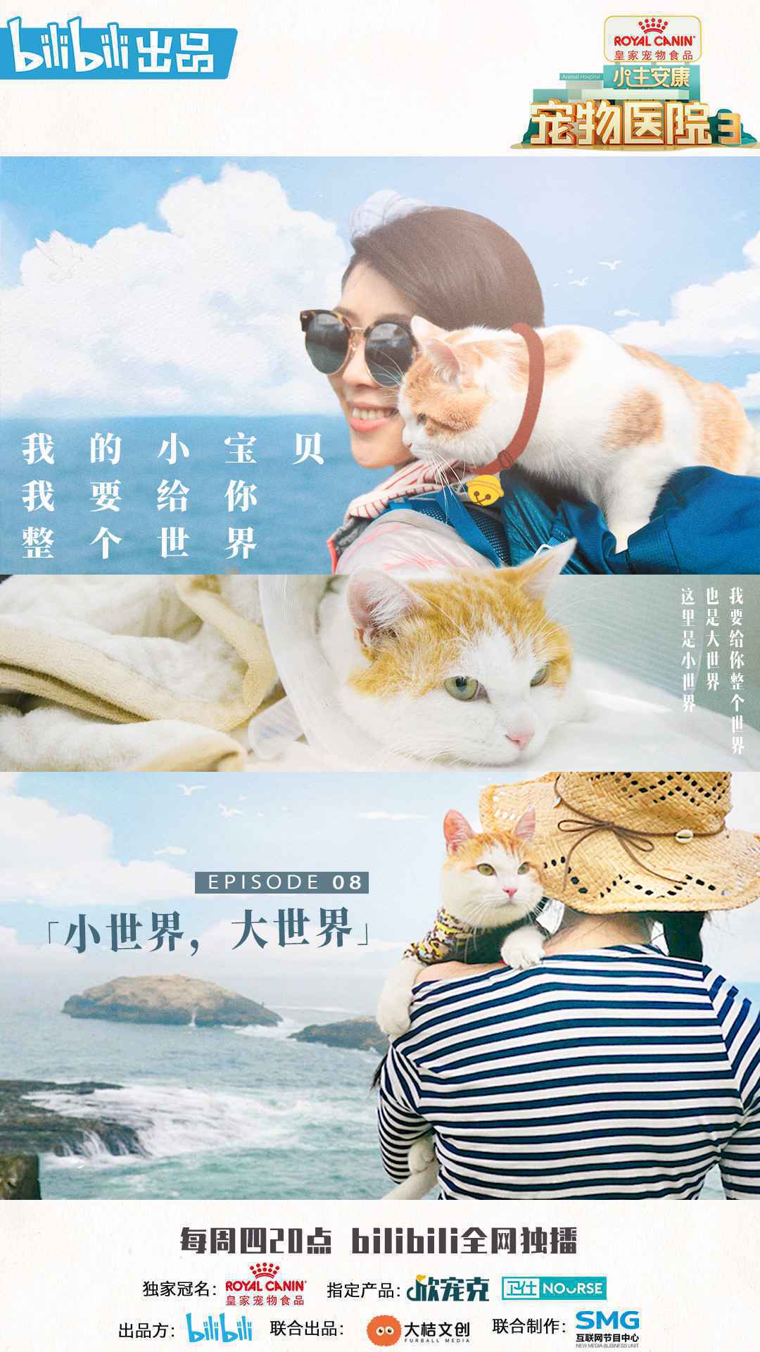 《宠物医院3》温暖收官 主题曲MV首次发布