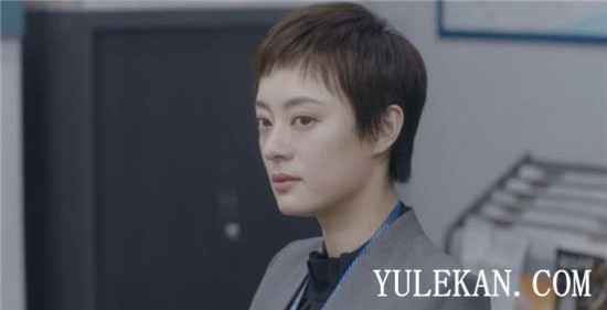 《安家》龚先生卖老洋房是真实事件改编的吗？