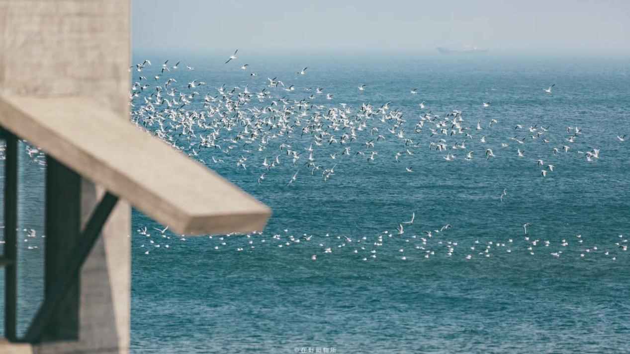 去阿那亚、吹海风、看好戏……在阿那亚戏剧节邂逅26部好戏