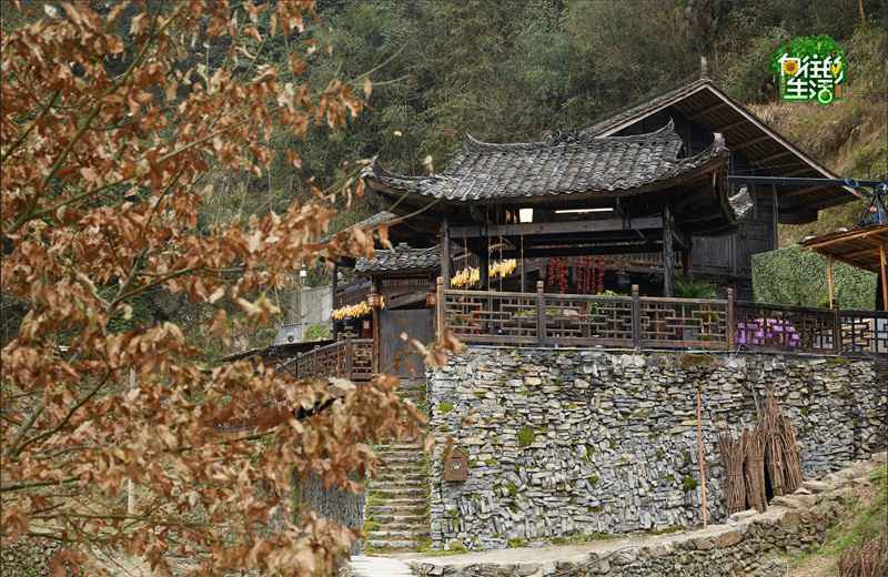 《向往的生活》第四季即将开启，全员回归，唯独缺少他？