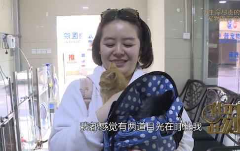 《此时此刻》城市流浪动物激增 法国女教师献计献策