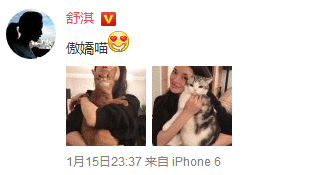 舒淇嗮自拍，网友吐槽猫都嫌弃你！