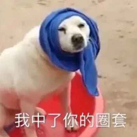 都在嘲“世界的参差”，内娱演艺圈的门槛在哪？