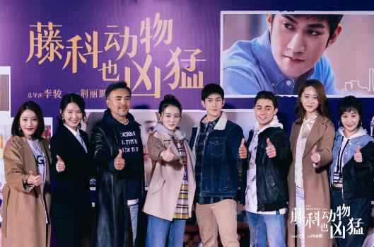 《藤科动物也凶猛》开放媒体探班 李治廷徐璐勇“闯”留学梦