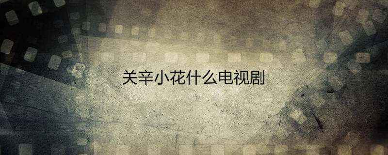 关辛小花什么电视剧