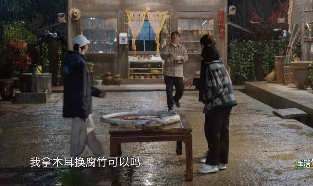 张艺兴靠“骗术”蒙混过关，黄磊偷菜，师徒合体套路《向生》导演