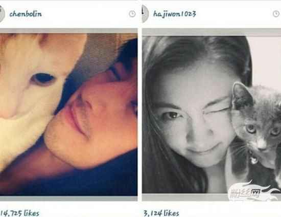 陈柏霖否认与韩星河智苑恋情:只见过1次