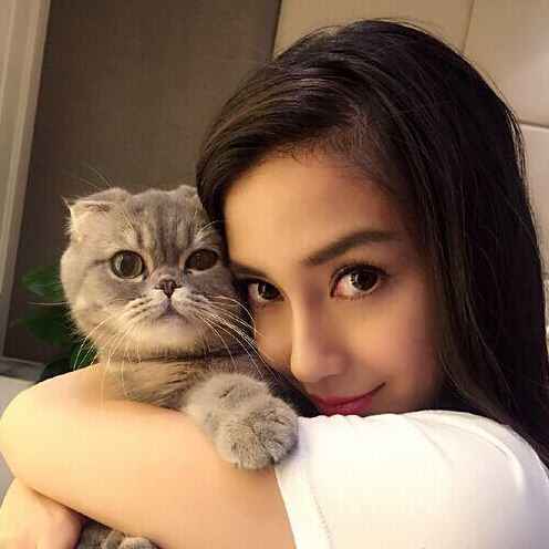 Angelababy与爱猫合照 眼睛遭放大找黄晓明
