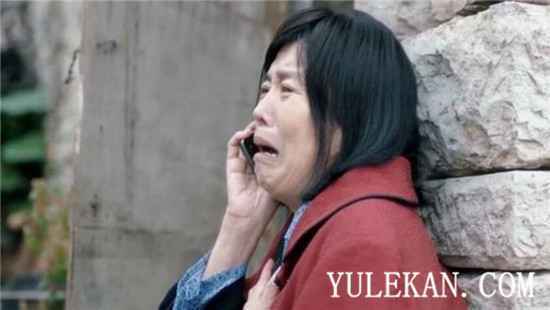 《安家》如果有续集,还会有哪些看点呢?