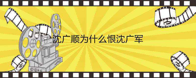 沈广顺为什么恨沈广军