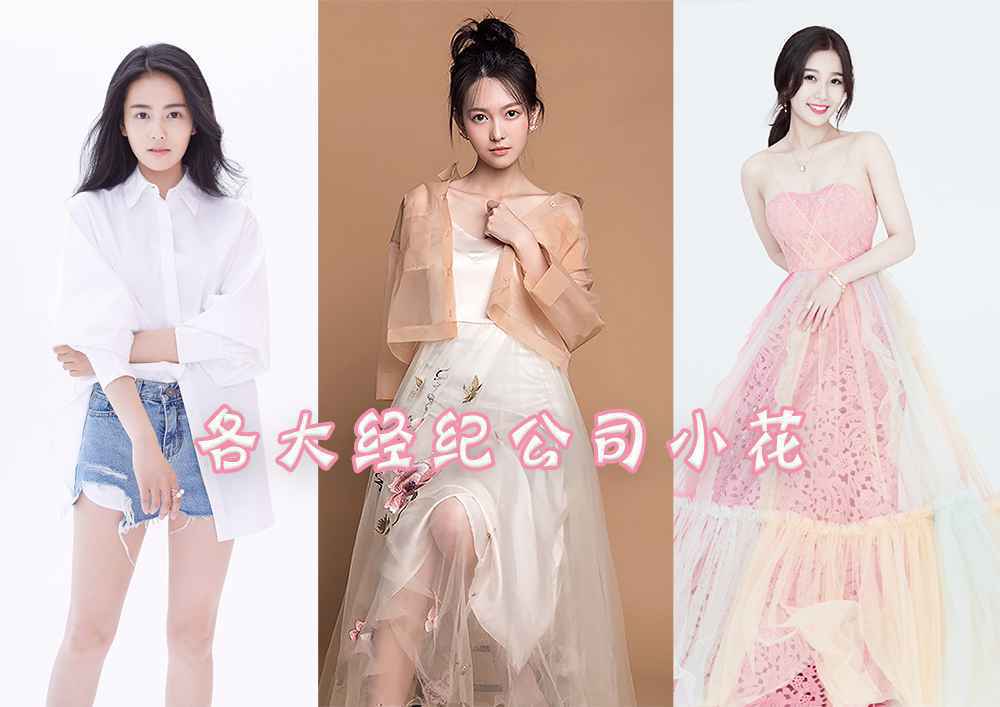 各大经纪公司小花 谁会成为下一个爆款？