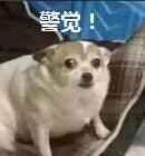 如果都是这个标准，我们内娱应该不会好了