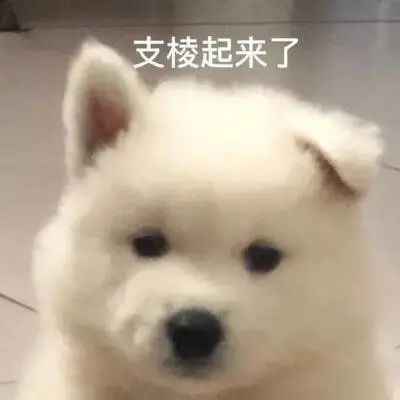 如果都是这个标准，我们内娱应该不会好了