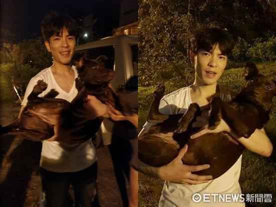 32小时搜索!萧敬腾终于找到走丢爱犬