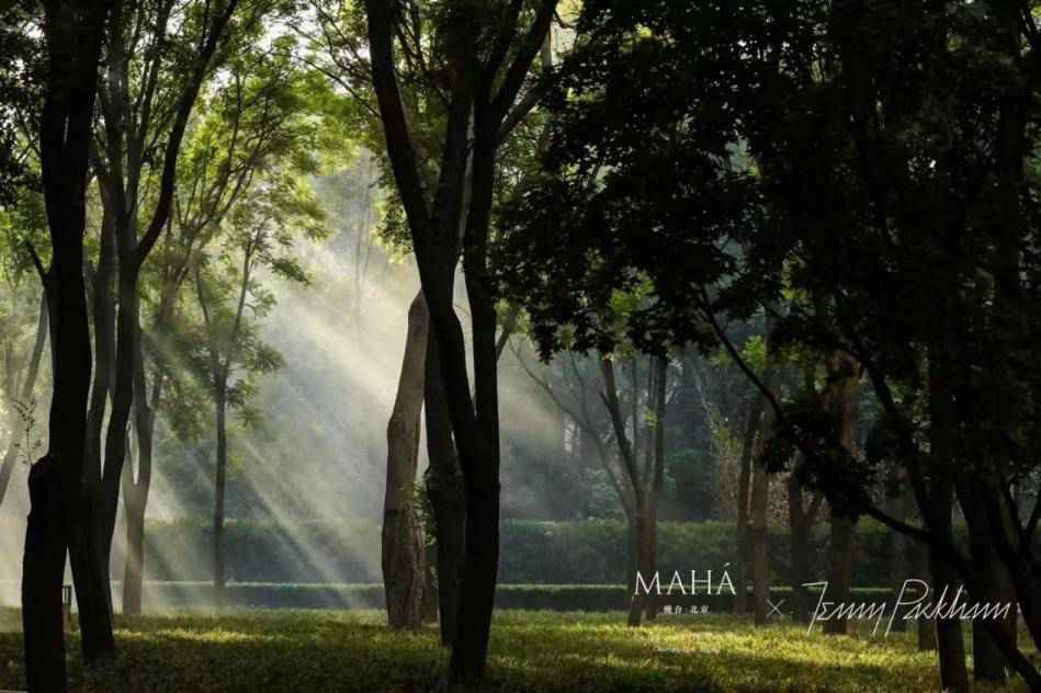 国际影后刘嘉玲、演员朱珠齐聚缦合·北京，缦园大秀星光熠熠