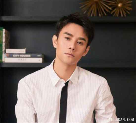 身为武汉人的王凯真的没有为武汉疫情捐款吗？