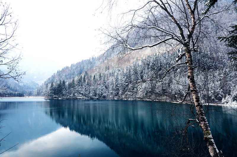 被“胡霍”虐疯的来看李连杰梁朝伟湖面