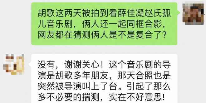 胡歌看薛佳凝音乐剧疑复合？男方团队否认！