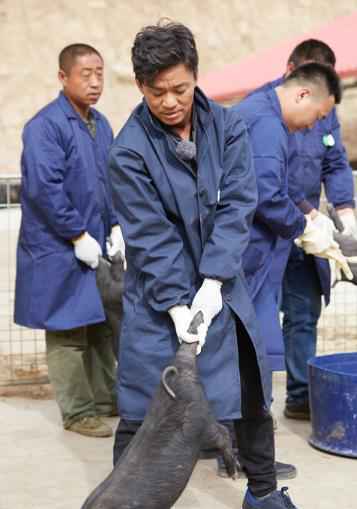 《我们在行动》潘石屹自曝幼年经历感动村民 王宝强郭碧婷体验山中抓猪