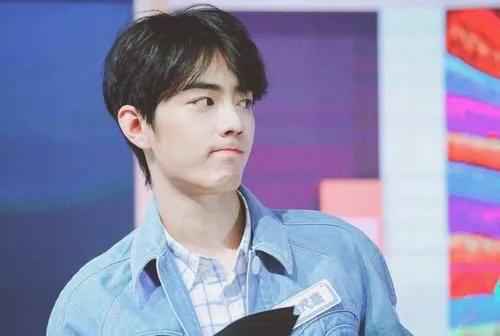 又遇“227”，肖战时隔一年才道歉，七点总结概括肖战道歉长文