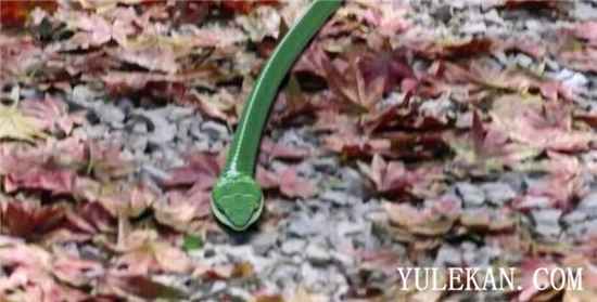 《锦衣天下》你觉得除了高甜的剧情还有哪些槽点？