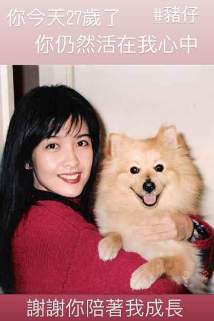 周慧敏为去世爱犬庆生：谢谢你陪着我成长