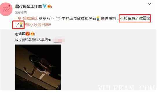 杨幂在家到底在干嘛？发自拍为什么引起网友公愤？