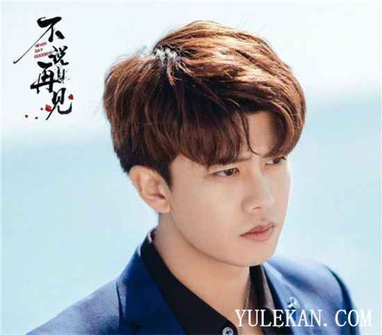 任嘉伦继《锦衣之下》后还有什么作品?在什么平台播出?