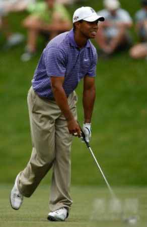 娱乐圈疑似养“小三”的十大明星