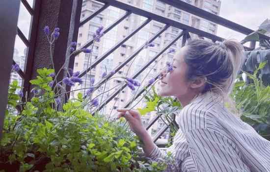 脑洞大开!台媒曝萧亚轩要给爱犬建“迪士尼乐园”