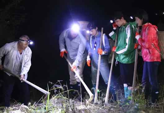 陶昕然、佟瑞欣变身“淘金矿工” 胡杏儿凌晨“佛系”挖百合