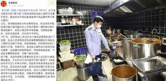 吴昕杜海涛合肥火锅店苍蝇飞舞卫生堪忧