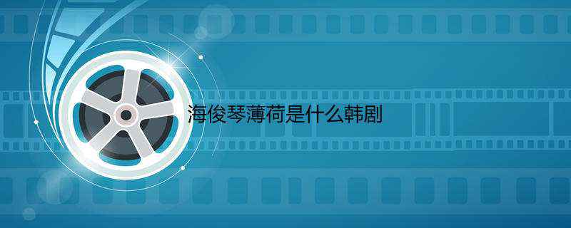 海俊琴薄荷是什么韩剧