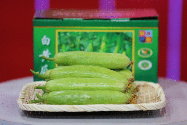 《家乡好物》海阳白玉黄瓜、秋月梨上新!大厨烤烟薯还原童年味道
