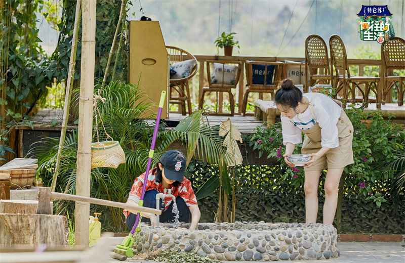 《向往的生活》薇娅空降没有点菜权利,主播地位被低估?