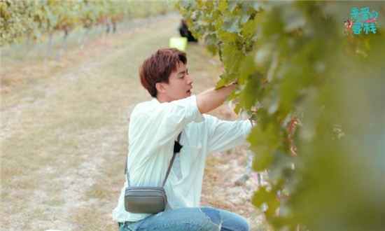 《亲爱的客栈3》马天宇到底做错了什么?张翰为什么生气离开?