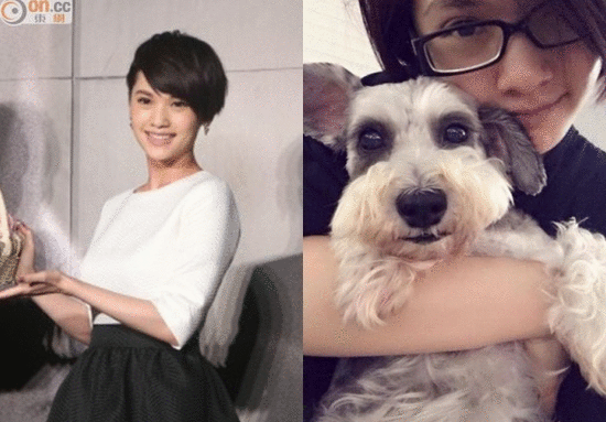 杨丞琳与爱犬合影 素颜家居服出镜变“黄脸婆”