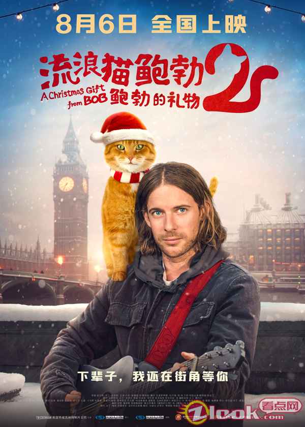 《流浪猫鲍勃2：鲍勃的礼物》定档8月6日 鲍勃猫延续最后的温暖