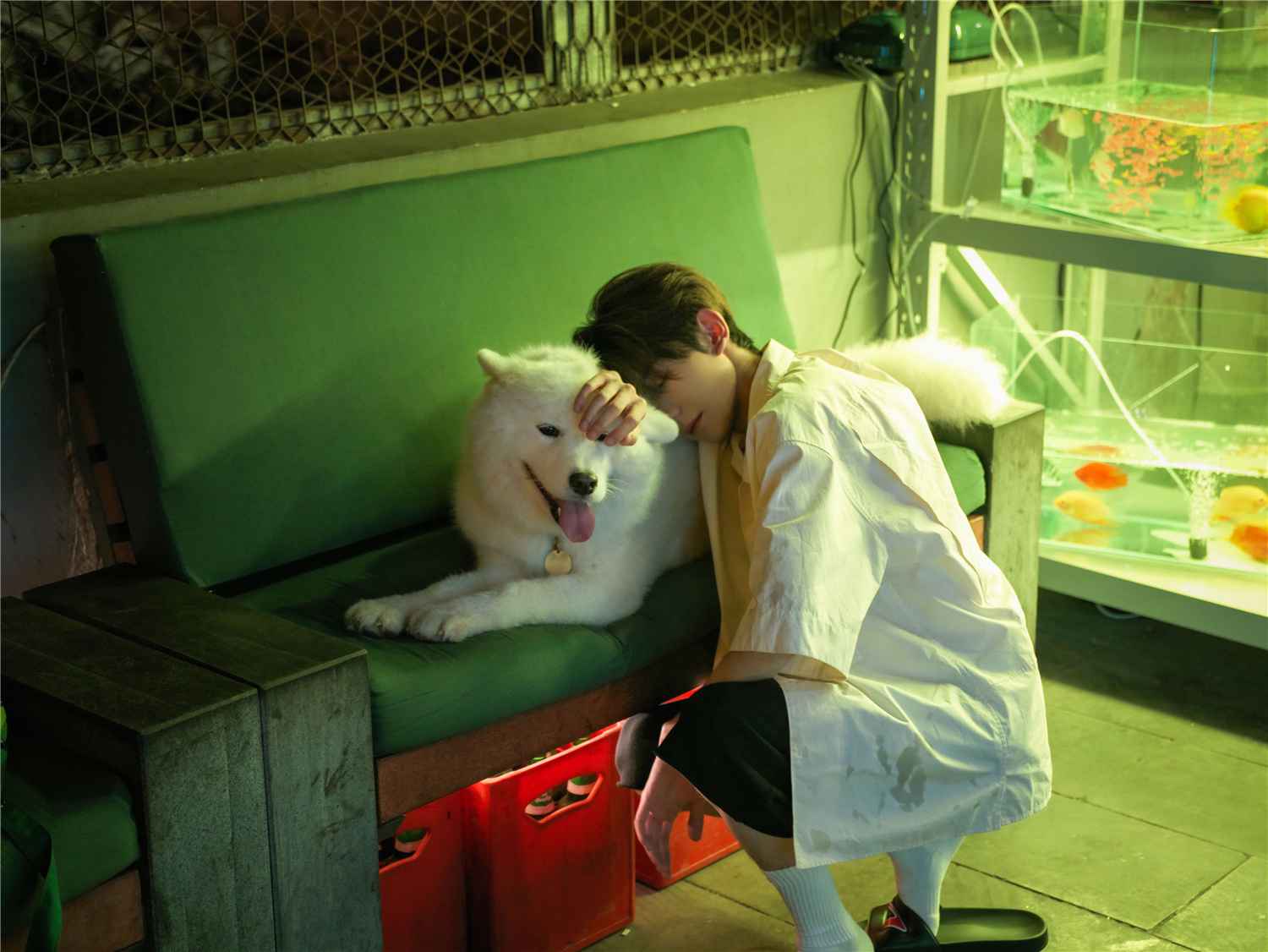 王源新歌《你的名字是世界瞒着我最大的事情》 掀起夏日回忆