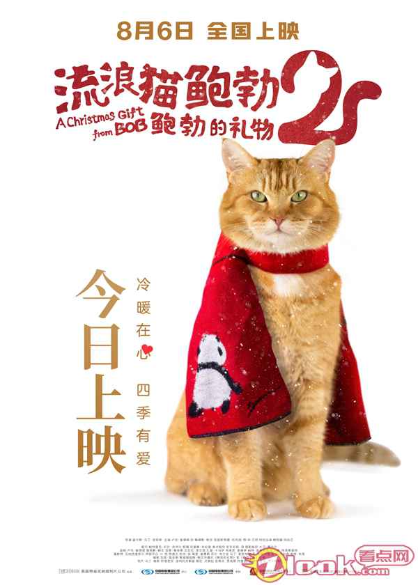《流浪的猫鲍勃2:鲍勃的礼物》今日上映海报 《流浪猫鲍勃2:鲍勃的礼物》观影催泪,这只橘猫值得最佳主角奖!