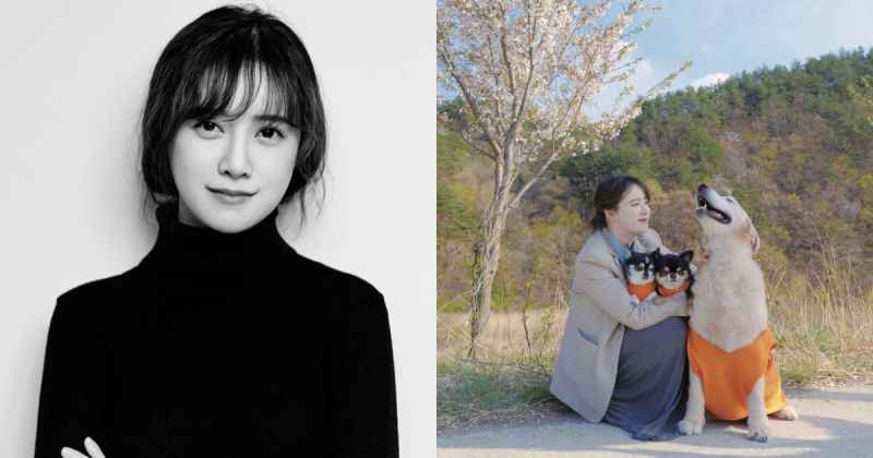 具惠善「送上最后的问候」 新发文暗示即将引退?