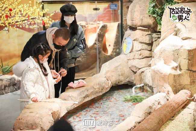 《做家务的男人》黄景瑜陈学冬海边露营放风筝