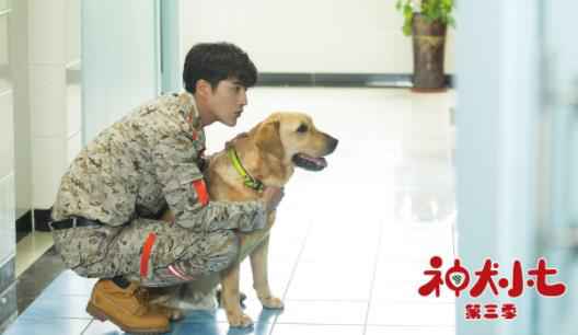 《神犬小七3》见证演员的姜潮成长