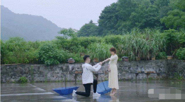 收视第一，观众口碑高，海清这部剧又给央视“争光了