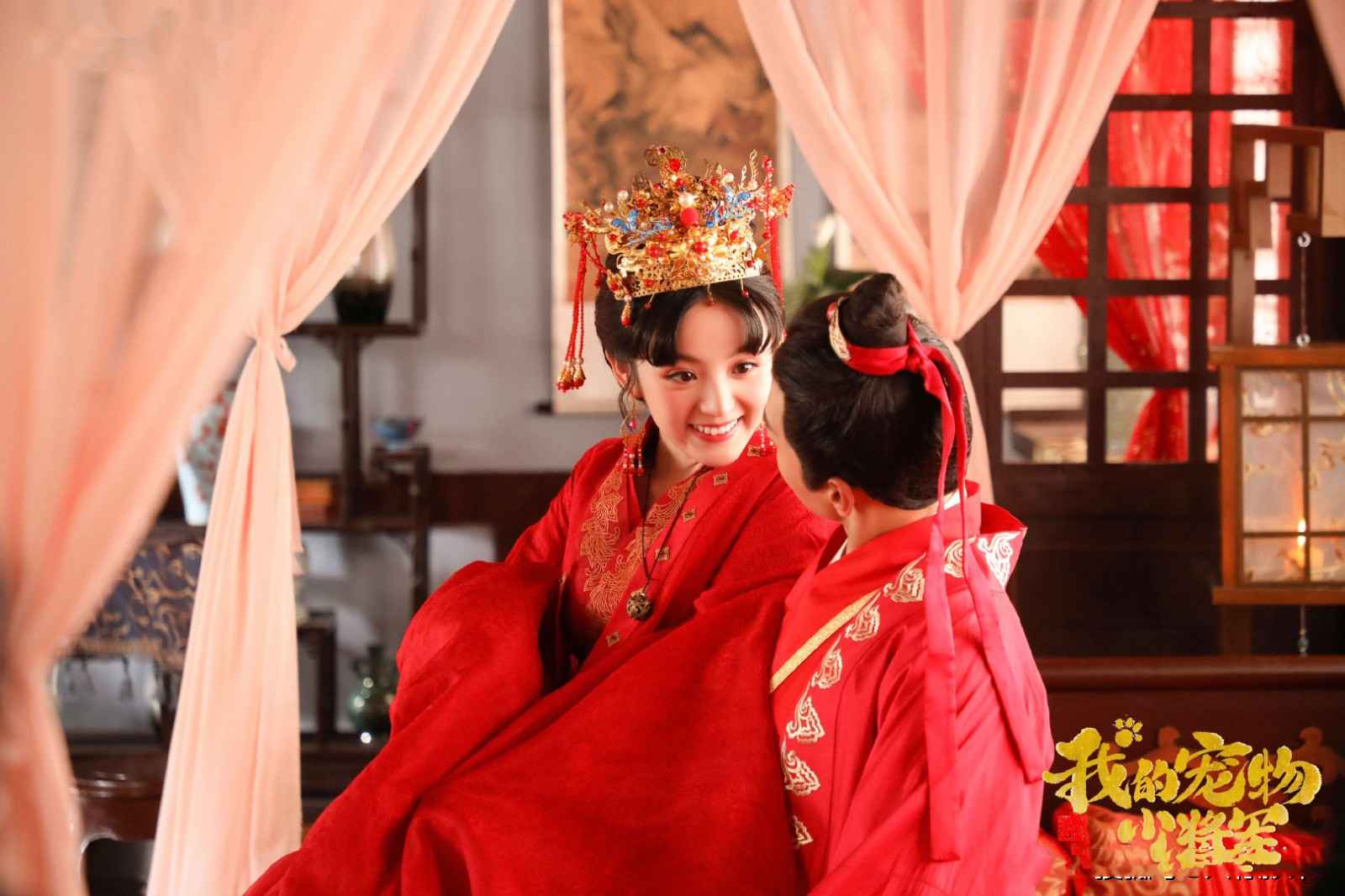 高糖甜宠剧来袭,签刺激主仆协议,双向奔赴的“人猫”恋,甜到齁