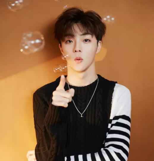 陈立农新年幸福单曲《幸福特写》上线 2020“拜托请喜欢我”