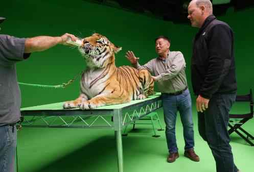 李玉方励远赴美国“摸老虎屁股”《阳光不是劫匪》挑战工业新高度