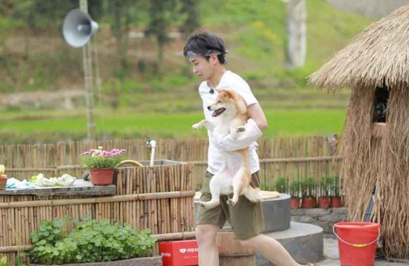 《向往的生活》第四季定位西双版纳，热带风情令人期待