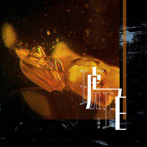 苟瀚中全新作品《琥珀》上线 化身复古迪斯科男声