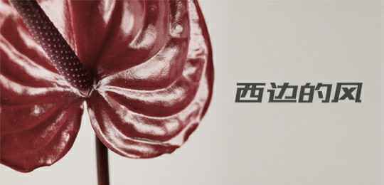 疯医乐队全新单曲《西边的风》，释出灵魂深处的悲怆之声